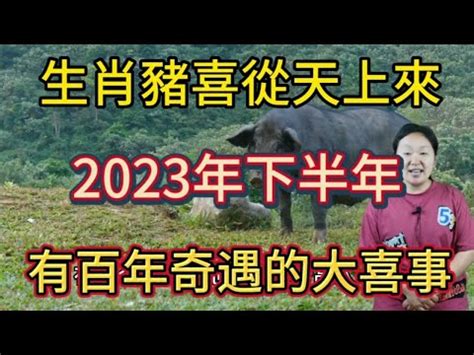 2023屬豬買房|2023年12生肖買房運勢 易經命理師曝最強運2生肖